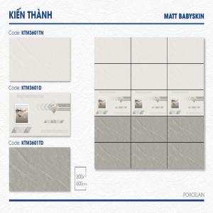 MÃ : KTM3601